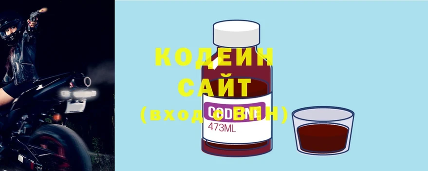 купить закладку  Пенза  Кодеин Purple Drank 